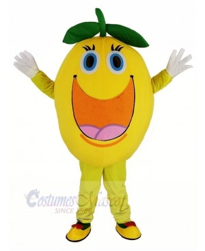 Cute Round Orange Mascot Costume