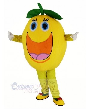 Cute Round Orange Mascot Costume