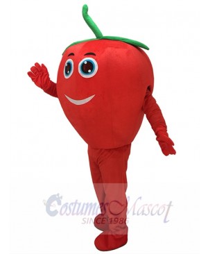 Cute Red Tomato with Smile Mascot Costume