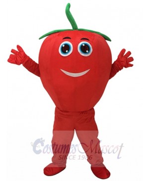 Cute Red Tomato with Smile Mascot Costume