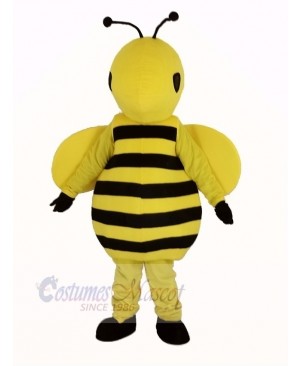 Cute Yellow Bee Mascot Costume