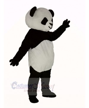 Cute Shorthair Panda Mascot Costume