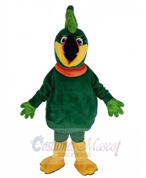 Toucan Bird mascot costume