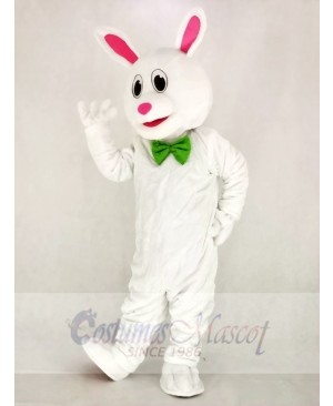 Funny Easter Bunny Rabbit Mascot Costume School 