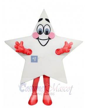 Star mascot costume