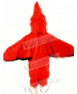 New Big Red Cardinal Mascot Costume