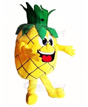 Top Quality Pineapple Mascot Costume