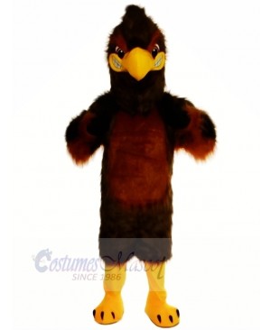 Majestic Brown Hawk Mascot Costumes Cartoon