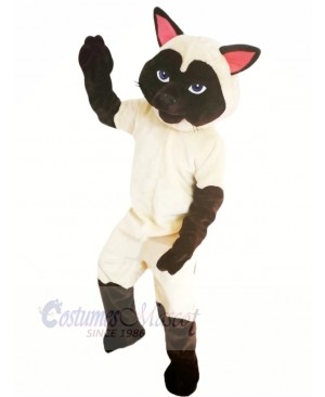 Funny Sally Siamese Cat Mascot Costumes Cartoon	