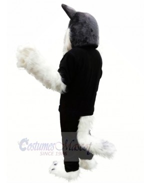 Grey Wolf Husky Mascot Costumes Cartoon