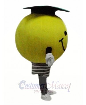 Light Bulb Mascot Costume