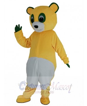 Bear mascot costume