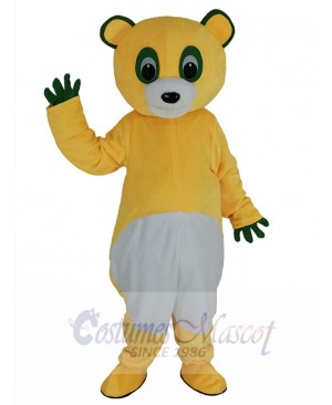 Bear mascot costume