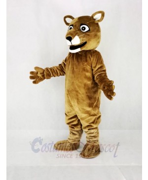 Cute Little Cougar Mascot Costume College