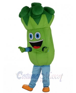 Bruce Broccoli Mascot Costume Cartoon