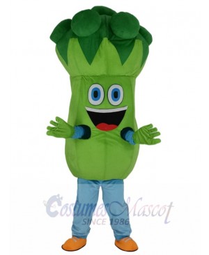 Bruce Broccoli Mascot Costume Cartoon