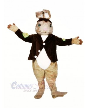High Quality Brown Rabbit Mascot Costumes Adult	