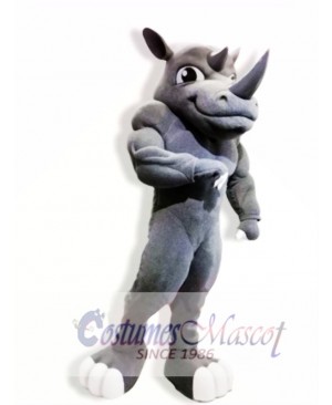 Power Rhino Mascot Costumes