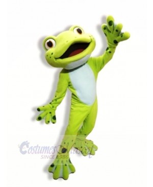 School Cute Frog Mascot Costumes Cartoon