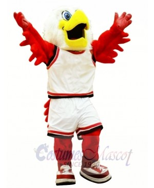 College Hawk Mascot Costumes