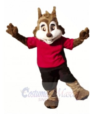 Cute Sport Squirrel Mascot Costumes 