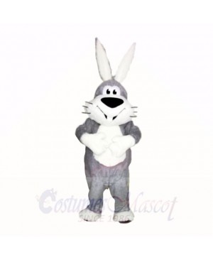 Smiling Grey and White Rabbit Mascot Costumes Cartoon
