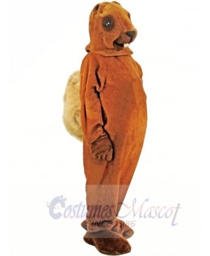 A Medium-brown Squirrel Mascot Costumes 