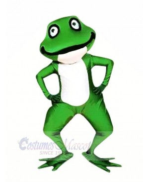 Realistic Green Frog Mascot Costumes Cartoon