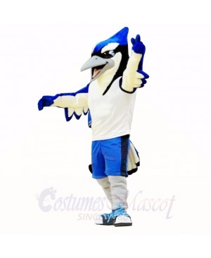 Sport Blue and Black Bird Mascot Costumes School