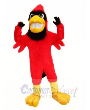 Strong Red Cardinal Mascot Costumes Animal
