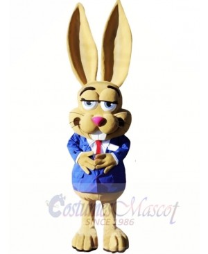 Cute Jackrabbit Mascot Costumes