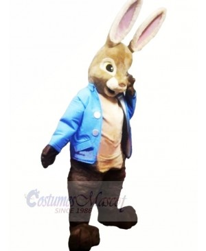 High Quality Peter Rabbit Mascot Costumes Cartoon