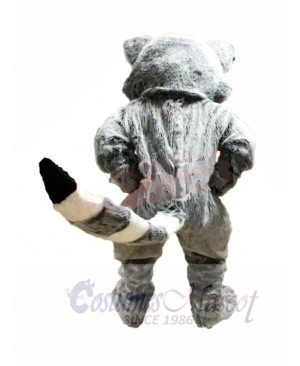 Cute Lightweight Raccoon Mascot Costumes