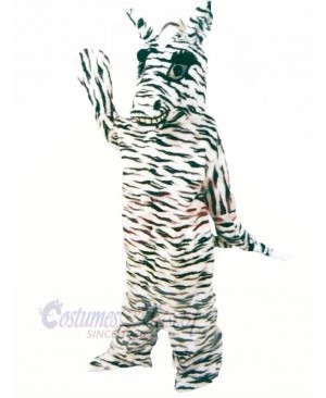 Friendly Zebra Mascot Costumes Cartoon	