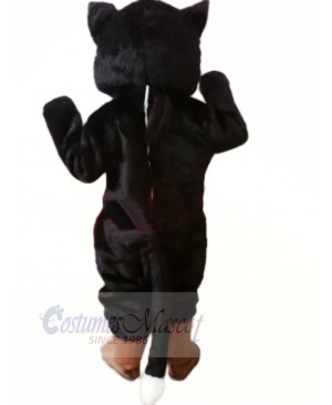 Lovely Black Cat Mascot Costumes Cartoon