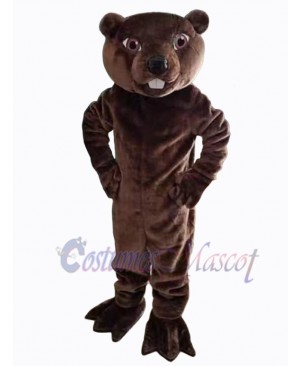 Beaver mascot costume