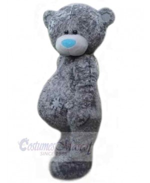 Bear mascot costume