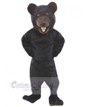 Bear mascot costume