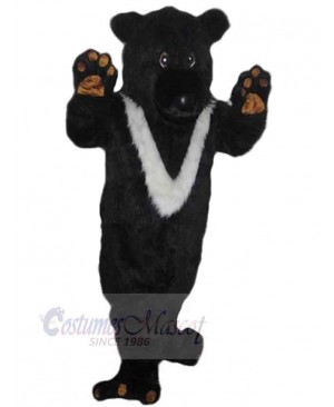 Bear mascot costume