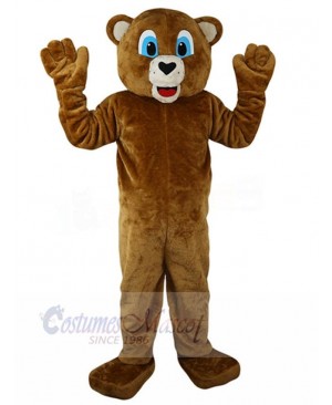 Bear mascot costume