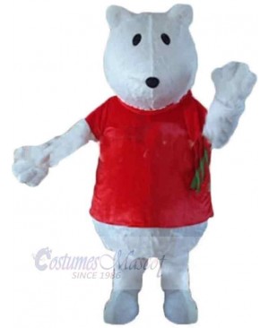 Bear mascot costume