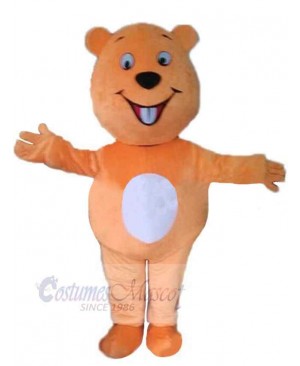 Cartoon Orange Bear Mascot Costume For Adults Mascot Heads
