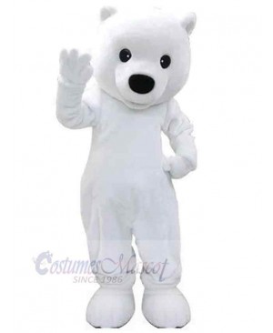 Bear mascot costume