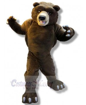 Muscle Brown Bear Mascot Costume For Adults Mascot Heads