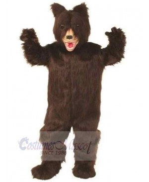 Bear mascot costume