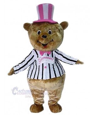 Bear mascot costume