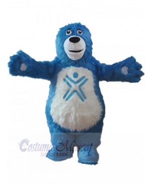 Bear mascot costume