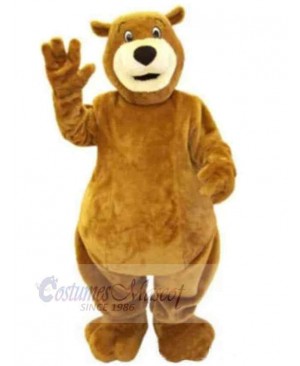 Bear mascot costume