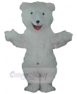 Bear mascot costume