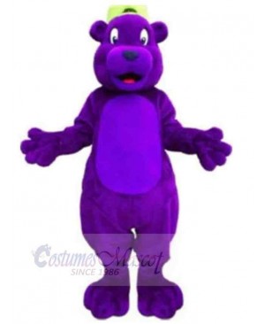 Bear mascot costume